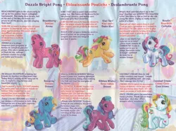 Size: 640x479 | Tagged: safe, derpibooru import, official, beachberry, bowtie (g3), coconut cream, kiwi tart, ribbon wishes, seaspray, backcard, butterfly island, dazzle bright ponies, description, french, g3, image, insert, international, irl, photo, png, spanish