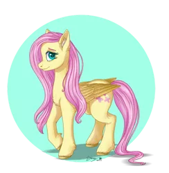 Size: 900x924 | Tagged: safe, artist:snowy-weather, derpibooru import, fluttershy, pegasus, pony, aside glance, chest fluff, circle background, ear fluff, elbow fluff, female, folded wings, hoof fluff, image, looking at you, mare, partial background, png, raised hoof, sideways glance, smiling, solo, standing, unshorn fetlocks, wings