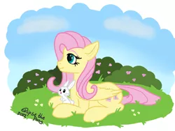 Size: 800x600 | Tagged: safe, artist:eklipsethepony, derpibooru import, angel bunny, fluttershy, pegasus, pony, rabbit, animal, bush, duo, female, flower, fluttershy day, folded wings, grass, image, looking away, lying down, mare, outdoors, png, profile, prone, wings