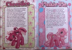 Size: 640x449 | Tagged: safe, derpibooru import, official, cheerilee (g3), pinkie pie (g3), 2009, backstory, balloon, description, flower, g3, image, jpeg, magazine, mlp annual 2009, scan, story included, text