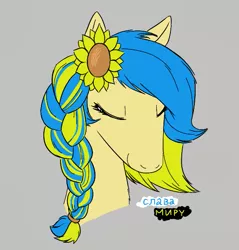 Size: 589x617 | Tagged: safe, derpibooru import, oc, oc:ukraine, ponified, unofficial characters only, pony, aggie.io, eyes closed, female, image, mare, nation ponies, png, simple background, smiling, snoofa, ukraine