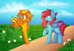 Size: 967x671 | Tagged: safe, artist:clairedaartiste444, derpibooru import, oc, unofficial characters only, pegasus, pony, bush, cheek fluff, chest fluff, duo, ear fluff, female, flower, folded wings, image, looking at each other, looking at someone, mare, png, raised hoof, wings