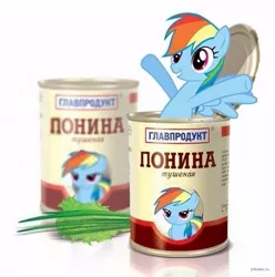 Size: 583x588 | Tagged: artist needed, safe, derpibooru import, rainbow dash, pegasus, pony, cyrillic, food, horse meat, image, jpeg, meat, russian, simple background, solo, white background