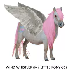 Size: 700x700 | Tagged: safe, derpibooru import, wind whistler, horse, pegasus, g1, hoers, image, irl, irl horse, photoshop, png, realistic, recolored hoers