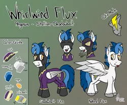 Size: 2202x1821 | Tagged: safe, artist:whirlwindflux, derpibooru import, oc, oc:whirlwind flux, pegasus, pony, image, male, png, reference sheet, shadowbolts, solo, stallion
