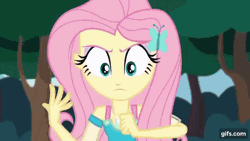 Size: 640x360 | Tagged: safe, derpibooru import, screencap, fluttershy, bear, bird, raccoon, squirrel, equestria girls, equestria girls series, stressed in show, stressed in show: fluttershy, spoiler:eqg series (season 2), animated, boots, choose your own ending (season 1), clothes, cutie mark, cutie mark on clothes, female, geode of fauna, gif, gifs.com, hairpin, image, jewelry, magical geodes, male, necklace, open mouth, shoes