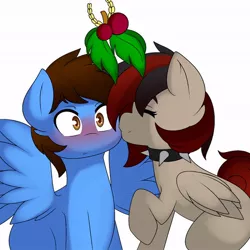 Size: 680x680 | Tagged: safe, derpibooru import, oc, oc:pegasusgamer, pegasus, pony, blushing, folded wings, holly, holly mistaken for mistletoe, image, jpeg, kissing, pegasus oc, spread wings, wings