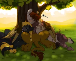 Size: 4096x3277 | Tagged: safe, artist:haruk, derpibooru import, oc, oc:ondrea, oc:swango, unofficial characters only, hippogriff, hybrid, pegasus, pony, braid, cuddling, featureless crotch, image, onomatopoeia, pegasus oc, png, sleeping, sound effects, tree, trio, under the tree, wings, zzz