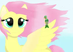 Size: 1800x1290 | Tagged: safe, artist:sashamoon0567, derpibooru import, fluttershy, bird, pegasus, pony, bust, colored wings, female, head turned, image, jpeg, looking at someone, mare, one wing out, sitting on wing, smiling, solo, two toned wings, wind, windswept mane, wings