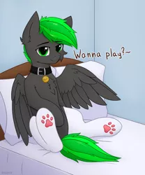 Size: 2560x3072 | Tagged: suggestive, alternate version, artist:keupoz, derpibooru import, oc, oc:bytewave, unofficial characters only, pegasus, pony, bed, bedroom, bedroom eyes, cheek fluff, chest fluff, clothes, collar, dialogue, ear fluff, image, leg fluff, looking at you, male, paw pads, paw socks, paws, pillow, png, sidemouth, sitting, socks, solo, solo male, spread legs, spread wings, spreading, toe beans, underpaw, wings