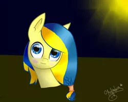 Size: 1280x1024 | Tagged: artist needed, safe, derpibooru import, oc, oc:ukraine, ponified, pony, image, jpeg, nation ponies, solo, ukraine