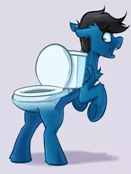 Size: 3000x4000 | Tagged: safe, artist:witchtaunter, derpibooru import, oc, oc:pony video maker, pegasus, pony, toilet pony, abomination, but why, commission, commissioner:reversalmushroom, cursed, cursed image, explicit source, funny, image, inanimate tf, not salmon, pegasus oc, png, scared, shocked, shocked expression, toilet, transformation, underhoof, wat, why, wings