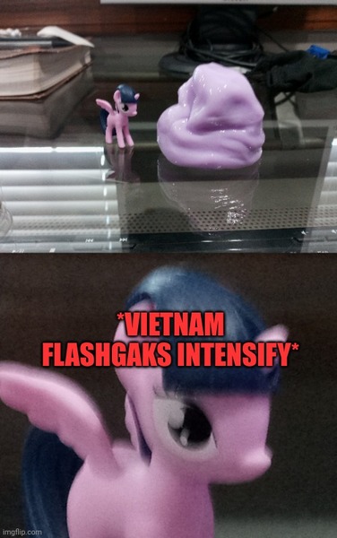 Size: 500x797 | Tagged: safe, derpibooru import, twilight sparkle, gak, image, irl, irl photo, jpeg, meme, photo, pun, vietnam flashback