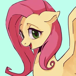 Size: 2000x2000 | Tagged: safe, artist:choco_hosikawa, artist:hosikawa, derpibooru import, fluttershy, pegasus, pony, bust, floppy ears, image, jpeg, open mouth, portrait, simple background, solo