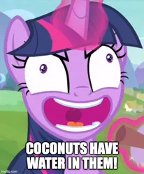 Size: 500x607 | Tagged: safe, derpibooru import, edit, edited screencap, screencap, twilight sparkle, twilight sparkle (alicorn), alicorn, starlight the hypnotist, spoiler:interseason shorts, bluey, caption, coconuts have water in them, context is for the weak, cropped, image, image macro, imgflip, insanity, jpeg, link in description, reference, solo, text