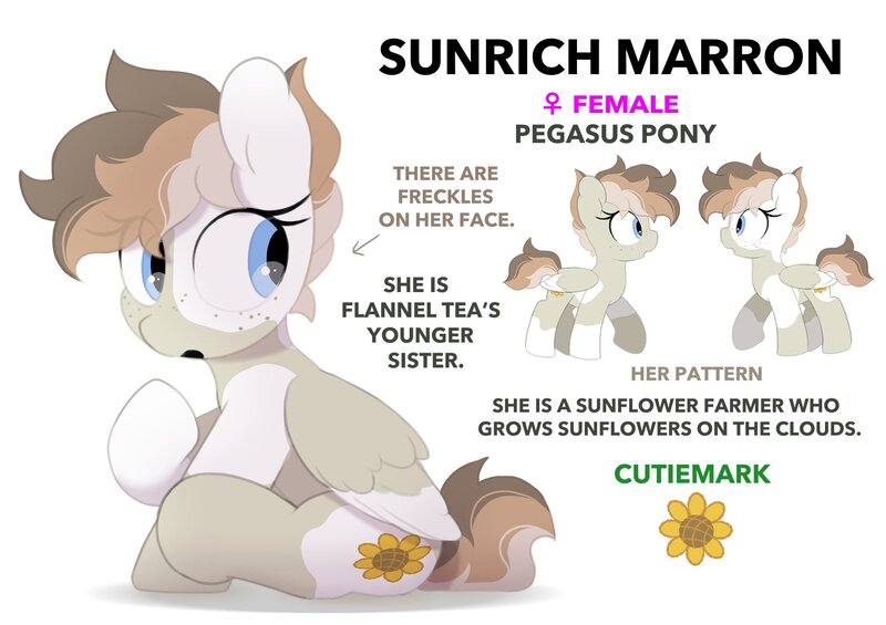 Size: 2064x1457 | Tagged: safe, artist:mochi_nation, derpibooru import, oc, oc:sunrich maron, unofficial characters only, pegasus, pony, coat markings, female, freckles, image, jpeg, mare, reference sheet, simple background, sitting, solo, white background