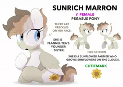 Size: 2064x1457 | Tagged: safe, artist:mochi_nation, derpibooru import, oc, oc:sunrich maron, unofficial characters only, pegasus, pony, coat markings, female, freckles, image, jpeg, mare, reference sheet, simple background, sitting, solo, white background