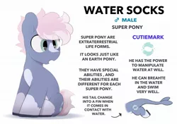 Size: 2064x1457 | Tagged: safe, artist:mochi_nation, derpibooru import, oc, oc:water socks, unofficial characters only, earth pony, pony, coat markings, image, jpeg, male, reference sheet, simple background, socks (coat marking), solo, stallion, white background