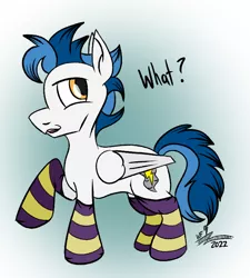 Size: 702x780 | Tagged: safe, artist:whirlwindflux, derpibooru import, oc, oc:whirlwind flux, pegasus, pony, clothes, image, male, png, socks, solo, stallion