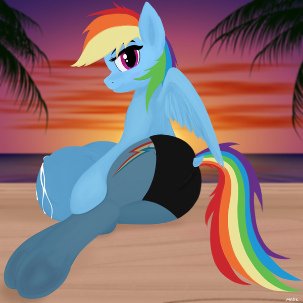 Size: 1024x1024 | Tagged: questionable, artist:mark_ml, ponybooru import, rainbow dash, pegasus, pony, beach, big crotchboobs, blushing, clothes, crotchboobs, female, huge crotchboobs, image, impossibly large crotchboobs, lactation, looking at you, looking back, looking back at you, mare, milk, nudity, pantyhose, png, rear view, solo, solo female, stupid sexy rainbow dash, underhoof