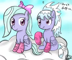 Size: 1250x1030 | Tagged: safe, artist:freefraq, derpibooru import, cloudchaser, flitter, pegasus, pony, clothes, cloud, confused, duo, female, image, jpeg, socks