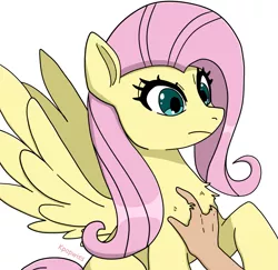 Size: 1907x1853 | Tagged: safe, artist:kpapwiss, derpibooru import, fluttershy, human, pegasus, pony, chest fluff, fur, hand, human on pony petting, image, petting, png, simple background, white background