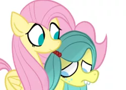 Size: 632x449 | Tagged: safe, artist:alandisc, derpibooru import, fluttershy, ocellus, changedling, changeling, earth pony, pony, comforting, cute, disguise, disguised changeling, female, hiding, image, png, pony ocellus, shy, shyabetes, simple background, smiling, white background