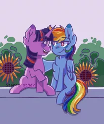 Size: 1200x1431 | Tagged: safe, artist:starburst987, derpibooru import, rainbow dash, twilight sparkle, pegasus, pony, unicorn, chest fluff, duo, duo female, ear fluff, female, flower, image, lesbian, looking at each other, mare, png, shipping, signature, smiling, smiling at each other, sunflower, twidash