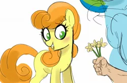 Size: 1823x1198 | Tagged: safe, artist:_ton618_, derpibooru import, carrot top, golden harvest, rainbow dash, earth pony, human, pegasus, pony, blushing, cute, female, flower, hand, image, jpeg, mare, offscreen character, offscreen human, open mouth, simple background, white background
