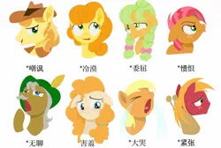 Size: 1664x1117 | Tagged: safe, artist:luansh, derpibooru import, apple bloom, apple cobbler, apple strudel, applejack, babs seed, big macintosh, braeburn, carrot top, golden delicious, golden harvest, granny smith, pear butter, earth pony, pony, apple family, apple family member, chinese text, female, filly, foal, image, jpeg, male, mare, moon runes, stallion