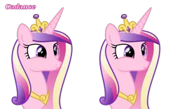 Size: 1600x1000 | Tagged: safe, alternate version, artist:favitwink, derpibooru import, princess cadance, shining armor, ponified, pony, 60 fps, :p, animated, animated at source, animation at source, boop, bust, canterlot wedding 10th anniversary, commission, crown, cute, cutedance, female, happy, hooves, image, jewelry, know the difference, loop, mare, meme, mlem, necklace, offscreen character, perfect loop, png, ponified meme, portrait, regalia, show accurate, silly, simple background, smiling, tiara, tongue out, transparent background, ych animation, ych example, your character here