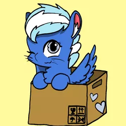 Size: 2484x2484 | Tagged: safe, artist:rainbowwing, derpibooru import, oc, oc:exobass, unofficial characters only, pegasus, pony, :3, behaving like a cat, box, cardboard box, chest fluff, ear fluff, image, looking at you, one eye closed, pegasus oc, png, simple background, solo, spread wings, whiskers, wings, wink, winking at you, yellow background