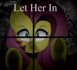 Size: 420x380 | Tagged: safe, derpibooru import, fluttershy, pegasus, pony, fanfic:let her in, female, image, jpeg, mare, night, tree, window, youtube link