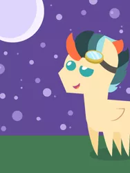 Size: 3072x4096 | Tagged: safe, derpibooru import, oc, oc:turbo swifter, unofficial characters only, pegasus, pony, goggles, grass, image, male, moon, night, png, pointy ponies, solo, stallion, stars