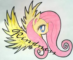 Size: 600x494 | Tagged: safe, artist:cryptidkitty, derpibooru import, fluttershy, pegasus, pony, female, image, jpeg, kindness, mare, pencil drawing, smiling, spread wings, text, traditional art, wings