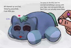 Size: 2400x1600 | Tagged: safe, artist:othercoraline, fluffy pony, pony, foal, image, lil champ, pin, png, sleeping