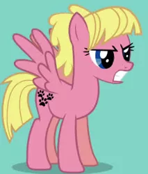 Size: 256x301 | Tagged: safe, derpibooru import, oc, oc:sweetie bloom, unofficial characters only, pegasus, pony, angry, female, gritted teeth, image, jpeg, mare, spread wings, teeth, wings, youtube link