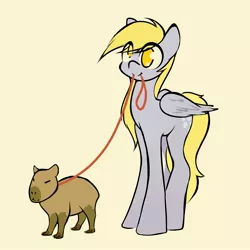 Size: 2500x2500 | Tagged: safe, artist:adamscage, derpibooru import, derpy hooves, pegasus, pony, capybara, image, jpeg, leash, solo