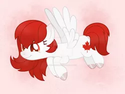 Size: 1280x963 | Tagged: safe, artist:writtenheart, derpibooru import, oc, ponified, pegasus, pony, canada, image, jpeg, nation ponies, solo