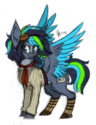 Size: 726x942 | Tagged: safe, artist:tayga-niko-j, derpibooru import, oc, unofficial characters only, pegasus, pony, clothes, colored wings, female, goggles, image, mare, pegasus oc, png, simple background, solo, transparent background, two toned wings, wings