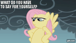 Size: 640x360 | Tagged: safe, derpibooru import, edit, edited screencap, editor:quoterific, screencap, fluttershy, pegasus, pony, dragonshy, season 1, animated, female, flying, gif, gifs.com, image, mare, open mouth, solo, spread wings, text, wings