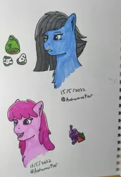 Size: 2178x3164 | Tagged: safe, artist:autumnsfur, artist:autumnsfurart, derpibooru import, berry punch, berryshine, limestone pie, earth pony, pony, blue fur, bust, cutie mark, g4, green eyes, grey hair, image, irl, jpeg, long mane, notebook, paper, photo, pink eyes, pink fur, portrait, sharpie, sketch, traditional art