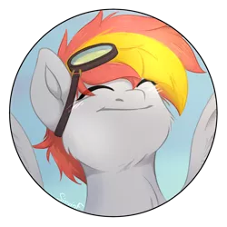 Size: 2480x2480 | Tagged: safe, artist:sinrinf, derpibooru import, oc, oc:afterburner, pegasus, pony, bust, commission, glasses, happy, image, png, portrait, smiling, solo, ych example, ych result, your character here