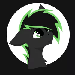 Size: 2000x2000 | Tagged: safe, artist:pegasko, derpibooru import, oc, oc:eytlin, unofficial characters only, bust, circle, image, lineless, looking sideways, png, portrait, simple background, solo, vector
