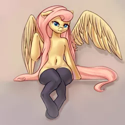 Size: 2000x2000 | Tagged: safe, artist:falses, derpibooru import, fluttershy, pegasus, pony, clothes, cute, digital art, eyes open, female, floppy ears, folded wings, gradient background, image, legs, legwear, looking at you, mare, png, shading, shyabetes, sitting, sketch, socks, solo, spread wings, stockings, thigh highs, thighs, thunder thighs, underhoof, wings