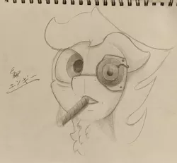 Size: 1952x1800 | Tagged: safe, artist:engi, derpibooru import, oc, oc:engi, unofficial characters only, pegasus, pony, cigar, image, jpeg, looking at you, male, pencil drawing, photo, simple background, smoking, solo, solo male, traditional art