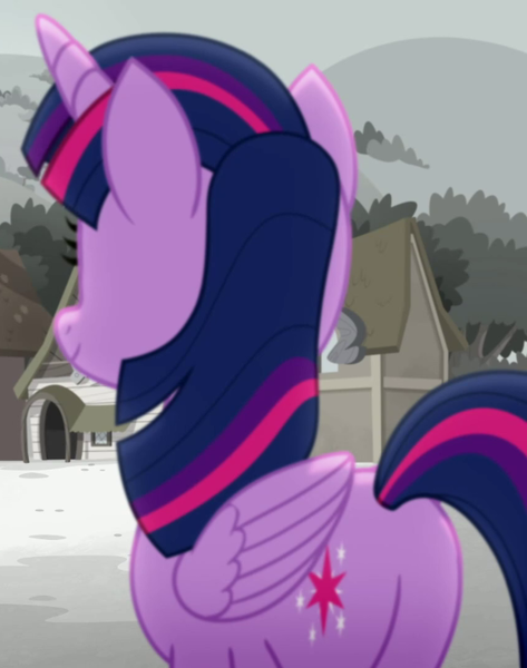 Size: 568x720 | Tagged: safe, derpibooru import, screencap, twilight sparkle, rainbow roadtrip, butt, cropped, image, plot, png, solo, twibutt