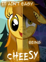 Size: 769x1039 | Tagged: safe, artist:yuitripfag, derpibooru import, oc, oc:swiss cheesy, unofficial characters only, earth pony, pony, crying, female, floppy ears, frown, image, jpeg, mare, scared, shrunken pupils, smiling, text, two sides