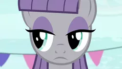 Size: 1280x720 | Tagged: safe, derpibooru import, screencap, maud pie, earth pony, pony, season 6, the gift of the maud pie, close-up, female, image, looking left, mare, png, solo