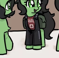 Size: 258x253 | Tagged: safe, artist:plunger, derpibooru import, oc, oc:anonfilly, earth pony, pony, bag, canada, canadian flag, chest fluff, clothes, earth pony oc, female, filly, foal, image, implied anal, implied sex, mare, open mouth, png, saddle bag, shirt, smiling, t-shirt